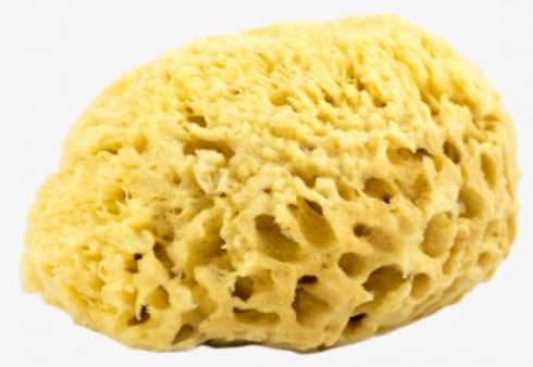 Bambaw Natural Sponge