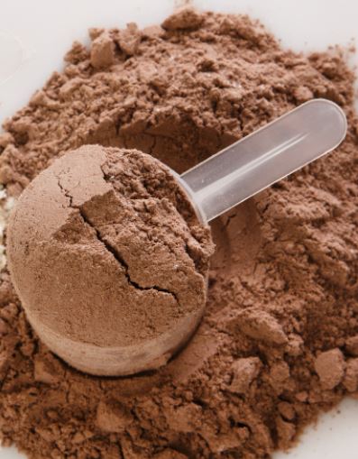 Organic Cacao Protein Powder