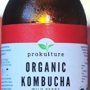 Organic Kombucha - Wild Berry